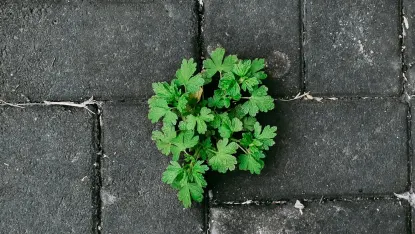 Casino Deposit Win App Mobile